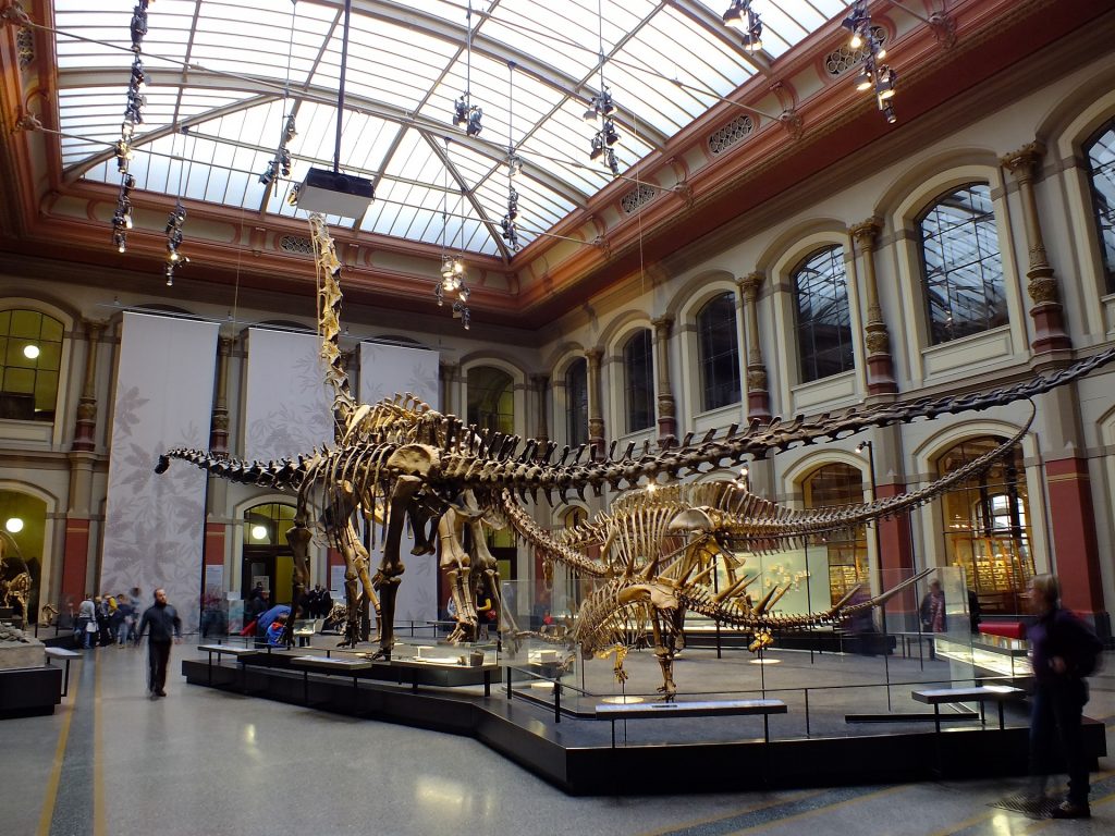 Experience Museums and Art Like Never Before.