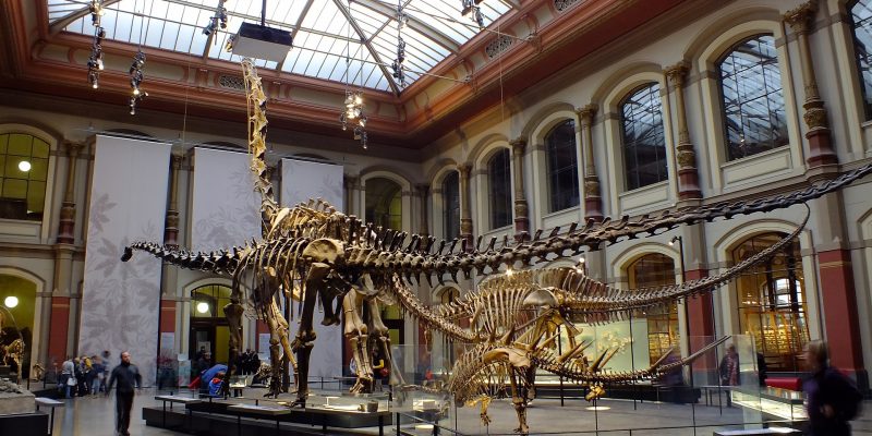 Experience Museums and Art Like Never Before.
