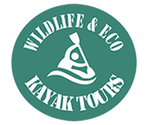 Wild Life and ECO Kayak Tours